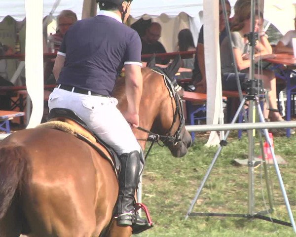 Reitturnier Herrenberg-Gültstein 2017