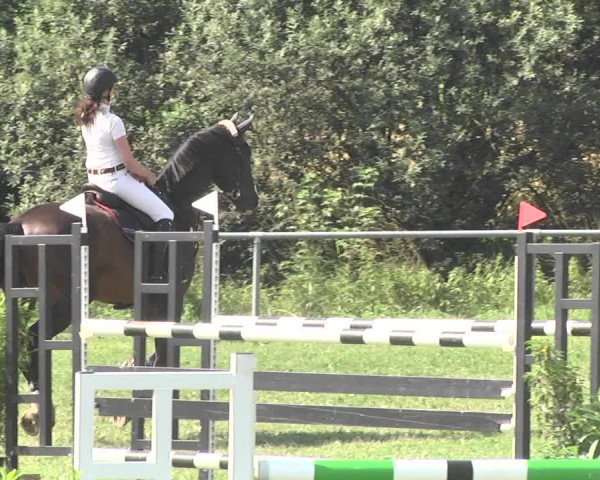 Reitturnier Herrenberg-Gültstein 2017