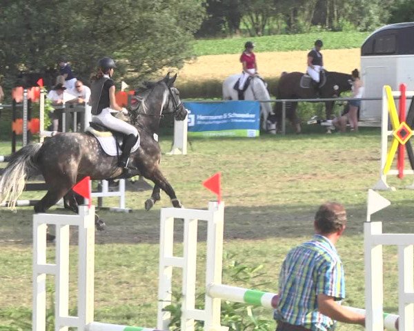 Reitturnier Herrenberg-Gültstein 2017