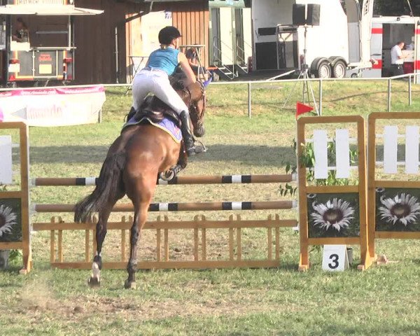 Reitturnier Herrenberg-Gültstein 2017