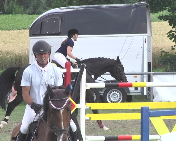 Reitturnier Herrenberg-Gültstein 2017