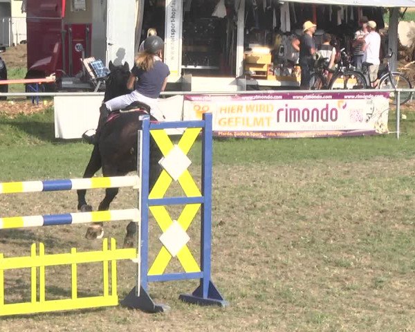 Reitturnier Herrenberg-Gültstein 2017
