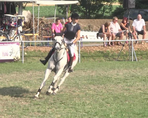Reitturnier Herrenberg-Gültstein 2017