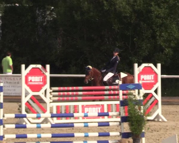 Reitturnier Haren 2017