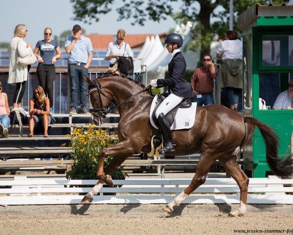 stallion Bon Amour 4 (Bavarian, 2012, from Benetton Dream FRH 1301)