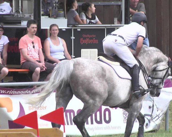 Reitturnier Herrenberg-Gültstein 2017