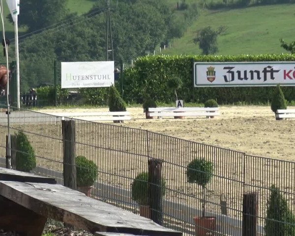 Reitturnier Lindlar-Süttenbach 2017