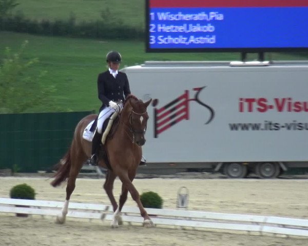 Reitturnier Lindlar-Süttenbach 2017