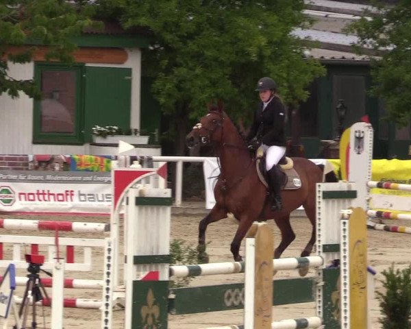 Reitturnier Haren 2017
