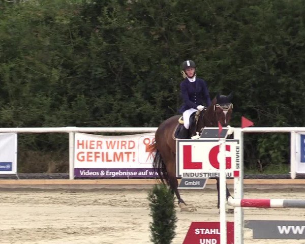 Reitturnier Haren 2017