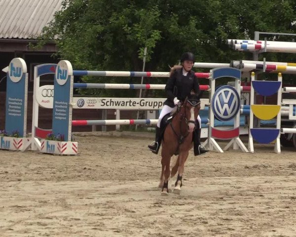 Reitturnier Haren 2017