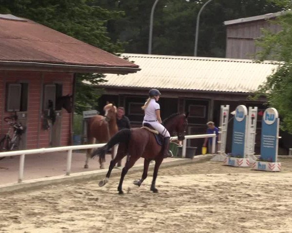 Reitturnier Haren 2017