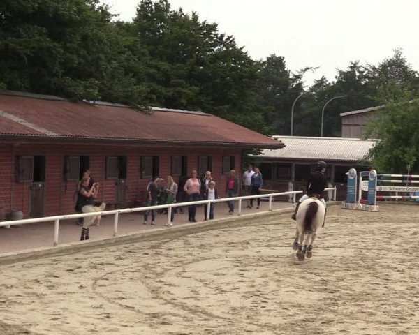 Reitturnier Haren 2017