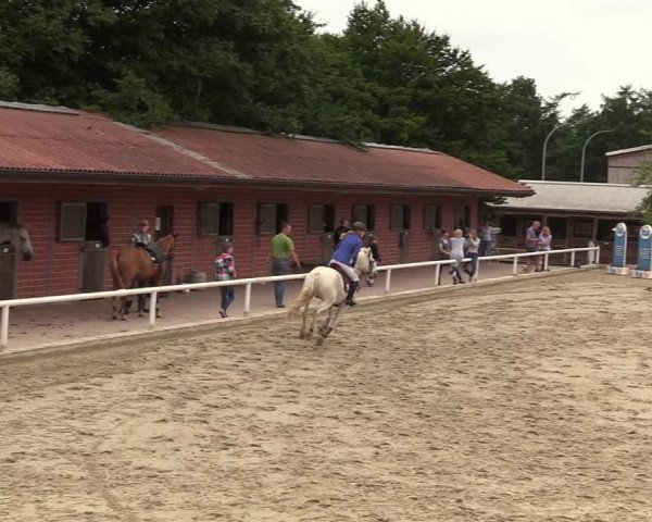Reitturnier Haren 2017