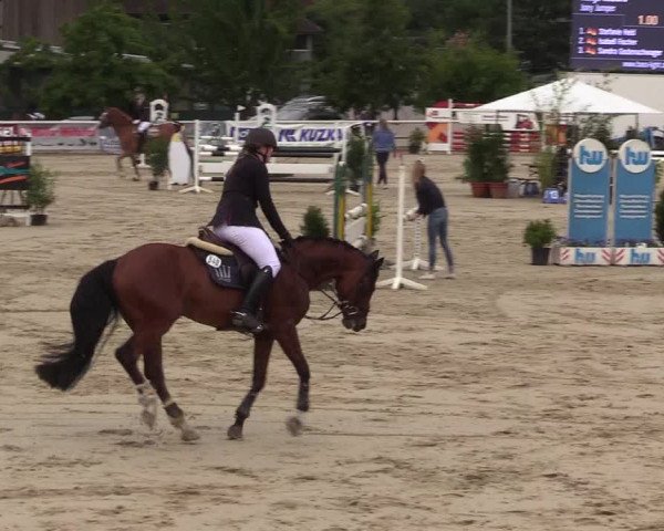 Reitturnier Haren 2017