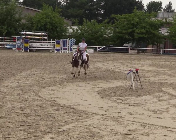 Reitturnier Haren 2017