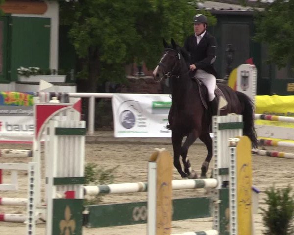Reitturnier Haren 2017