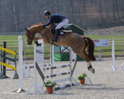jumper Kasando (Bavarian, 2013, from Kannan)