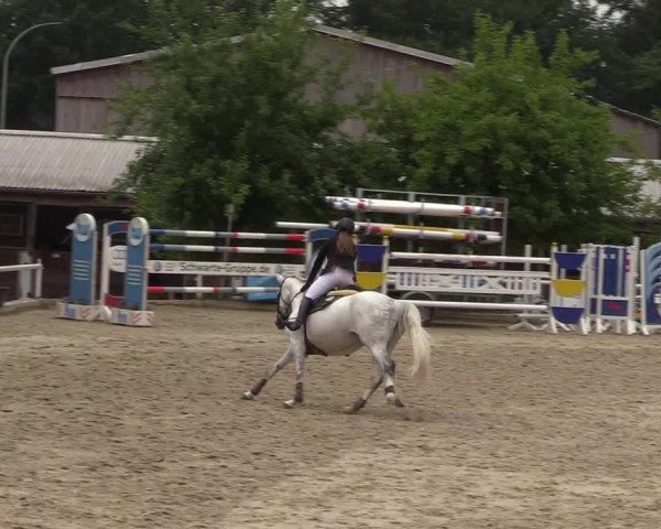 Reitturnier Haren 2017