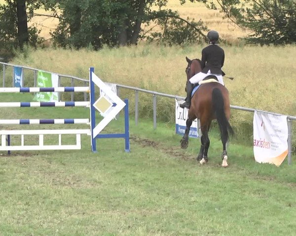 Reitturnier Herrenberg-Gültstein 2017