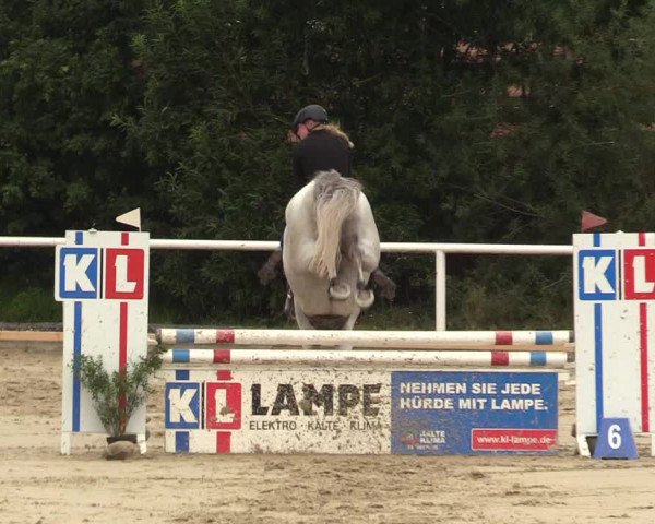 Reitturnier Haren 2017