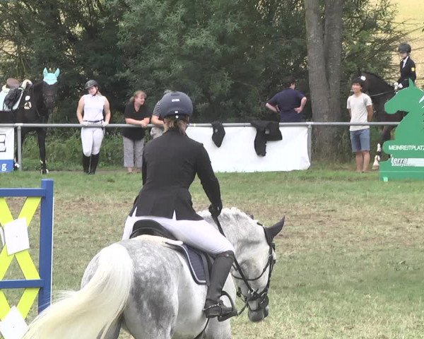 Reitturnier Herrenberg-Gültstein 2017