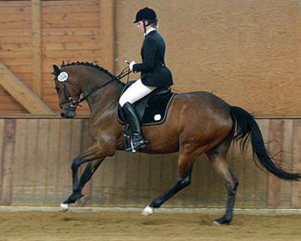 broodmare Schwalbenfest (Trakehner, 2003, from Freudenfest)