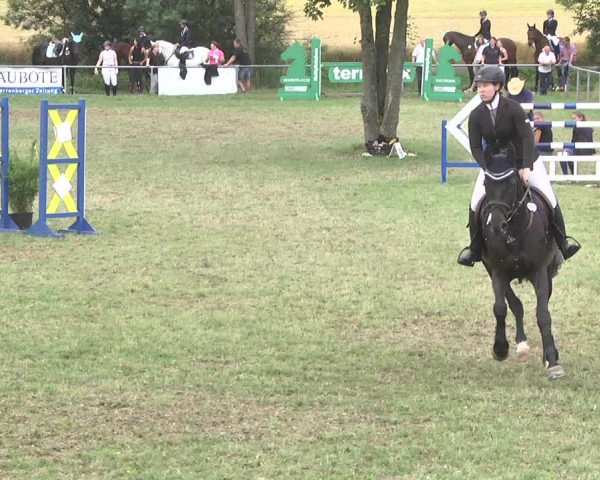 Reitturnier Herrenberg-Gültstein 2017