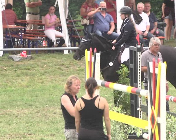 Reitturnier Herrenberg-Gültstein 2017