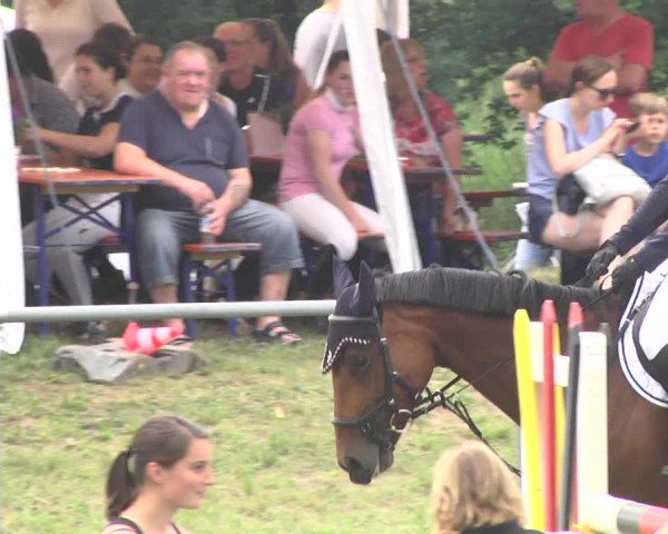 Reitturnier Herrenberg-Gültstein 2017
