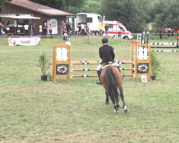 Reitturnier Herrenberg-Gültstein 2017