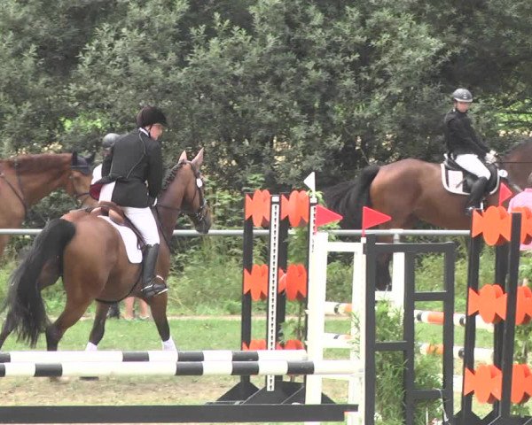 Reitturnier Herrenberg-Gültstein 2017