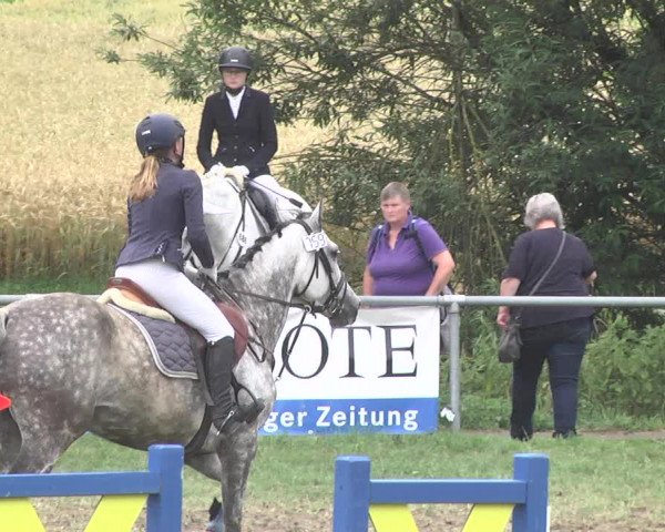 Reitturnier Herrenberg-Gültstein 2017