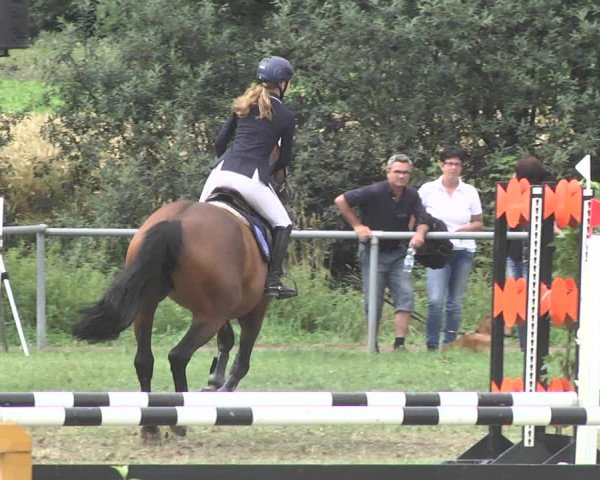 Reitturnier Herrenberg-Gültstein 2017