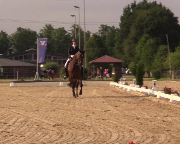 Reitturnier Münster-Roxel 2017