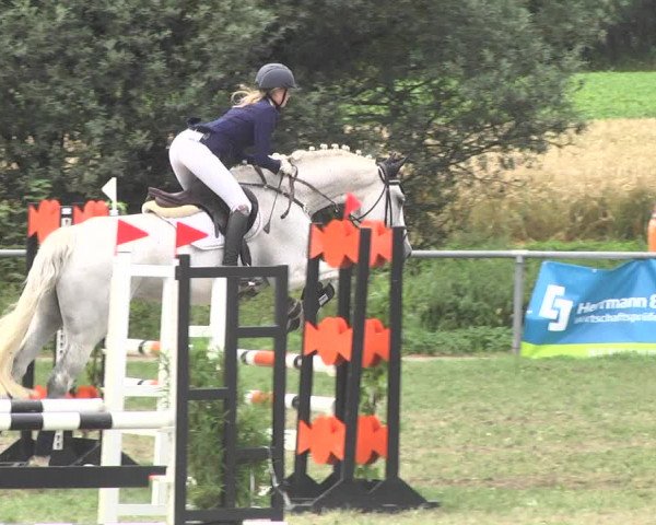 Reitturnier Herrenberg-Gültstein 2017