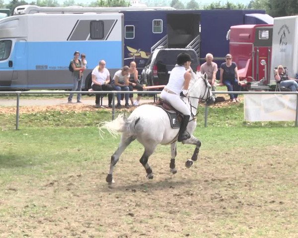 Reitturnier Herrenberg-Gültstein 2017