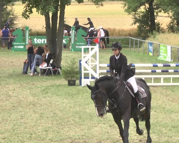 Reitturnier Herrenberg-Gültstein 2017