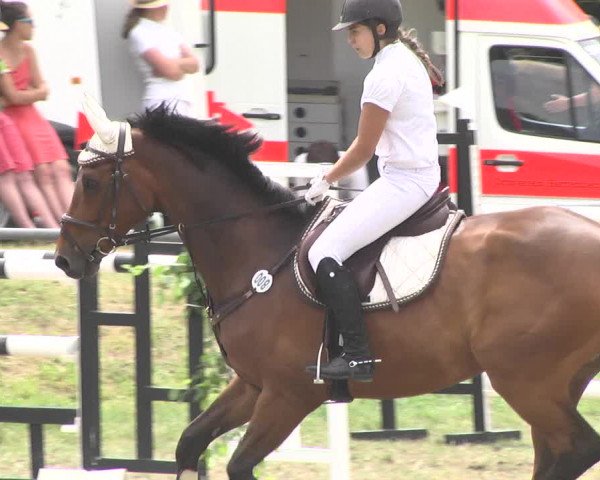 Reitturnier Herrenberg-Gültstein 2017