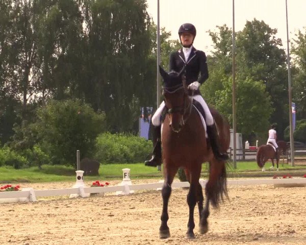 Reitturnier Münster-Roxel 2017