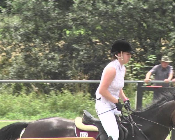 Reitturnier Herrenberg-Gültstein 2017