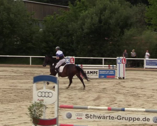 Reitturnier Haren 2017