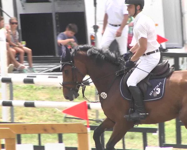 Reitturnier Herrenberg-Gültstein 2017