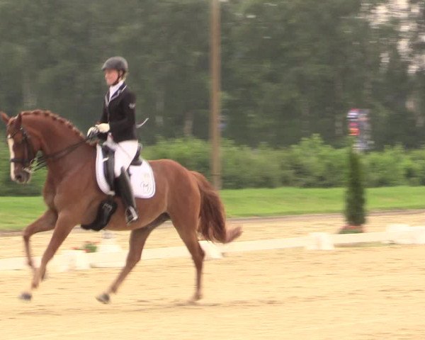 Reitturnier Münster-Roxel 2017
