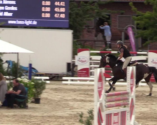 Reitturnier Haren 2017