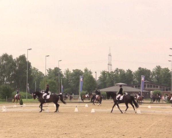 Reitturnier Münster-Roxel 2017