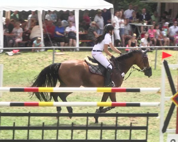 Reitturnier Herrenberg-Gültstein 2017