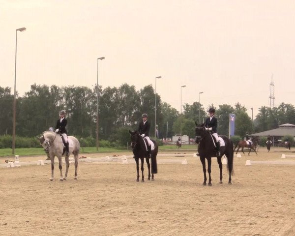 Reitturnier Münster-Roxel 2017