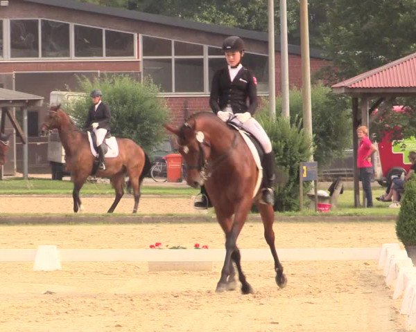 Reitturnier Münster-Roxel 2017
