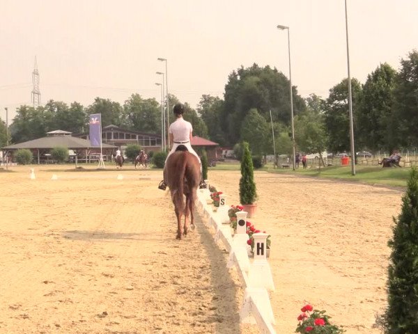 Reitturnier Münster-Roxel 2017